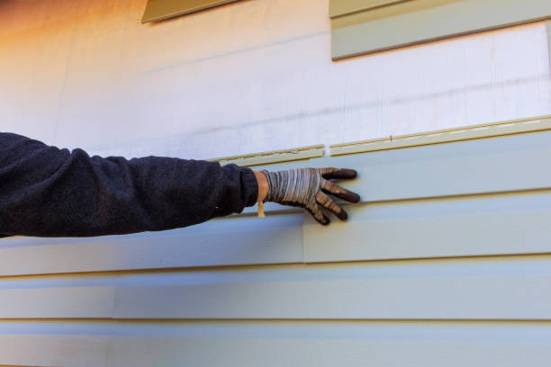 Best Siding Painting and Refinishing  in Grosse Pointe, MI